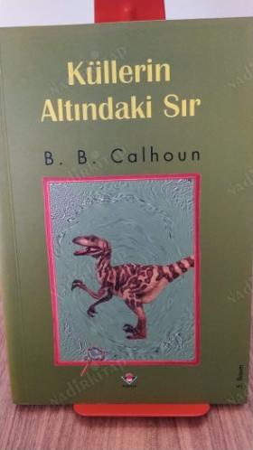 Küllerin Altındaki Sır - Geçmişin Anahtarları - Kaybolan İpucu - Ayak İzlerinin Esrarı / 4 Kitap Takım