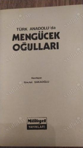 Türk Anadolu'da Mengücekoğulları