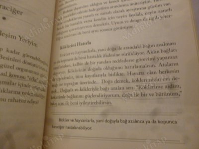 Bedenin Şifa Kapıları - İyileşmenin Anahtarı Içimizde Saklı (İmzalı)