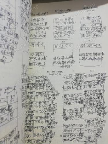 Selected Neo-Sumerian Administrative Texts from the British Museum.
