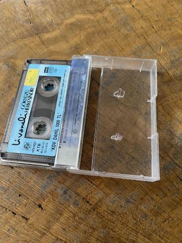 ZÜLFÜ LİVANELİ - GÖKYÜZÜ HERKESİNDİR - KASET