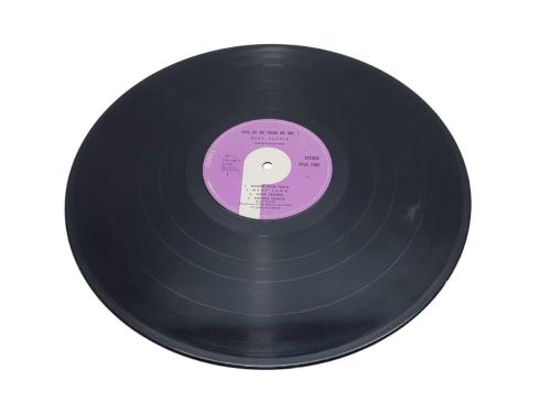 33'LÜK PLAK: DEEP PURPLE: WHO DOWE THINK WE ARE