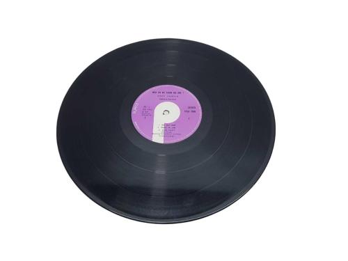 33'LÜK PLAK: DEEP PURPLE: WHO DOWE THINK WE ARE