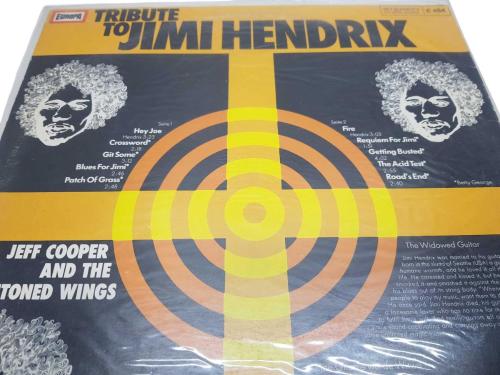TRIBUTE TO JIMI HENDRIX LP PLAK