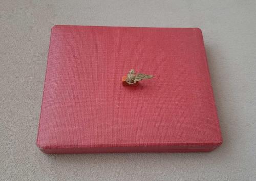 DENİZ KUVETLERİ PİLOT ROZETİ  -  MADALYA YAKA BOY C5297