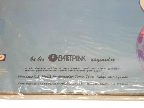 DIRE STRAITS: BROTHERS IN ARMS LP PLAK (YERLİ BASKI)
