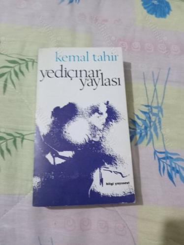 YEDİÇINAR YAYLASI