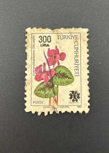 Türk Pulu - Turkish Stamp -  Postadan Geçmiş Pul Filateli -  SİKLAMEN ÇİÇEĞİ TEMALI PUL, 300 LİRA - Türkiye Cumhuriyeti - NOSTALJİK DOĞUM GÜNÜ HEDİYESİ - 1984