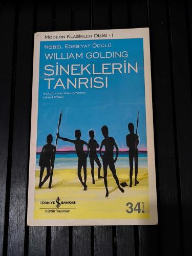 SİNEKLERİN TANRISI