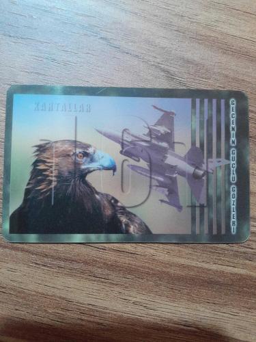 161 Filo Kartallar Kartı (2009 Takvimi)