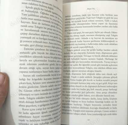 Beyaz Diş