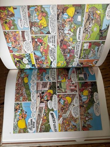 Astérix - Le tour de Gaule d'Astérix - (French Edition) çizgi roman