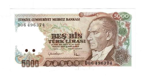 7.Emisyon 2.Tertip 5000 Türk Lirası Seri D06 - ÇİL TCK10281