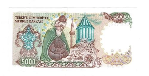 7.Emisyon 2.Tertip 5000 Türk Lirası Seri D06 - ÇİL TCK10281