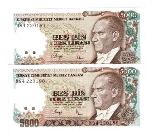 7.Emisyon 4.Tertip 5000 Türk Lirası *Seri Takipli H84* - ÇİL TCK10282