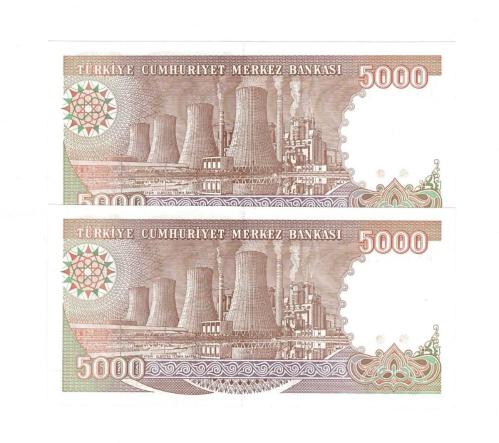 7.Emisyon 4.Tertip 5000 Türk Lirası *Seri Takipli H84* - ÇİL TCK10282