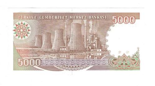 7.Emisyon 4.Tertip 5000 Türk Lirası Seri I22 - ÇİL TCK10283