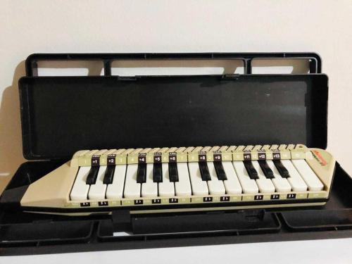 İtalya Üretimi Bontempi Diamonika Melodika