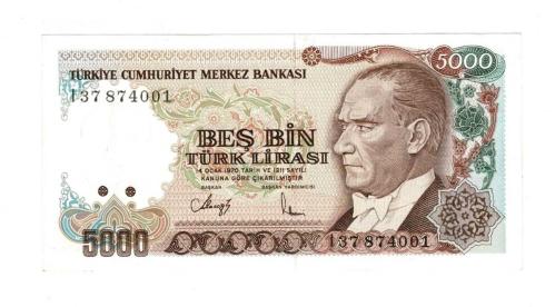 7.Emisyon 4.Tertip 5000 Türk Lirası Seri I37 - ÇİL TCK10284