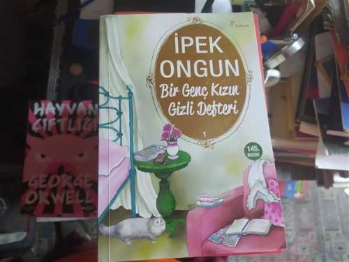 Bir Genç Kızın Gizli Defteri