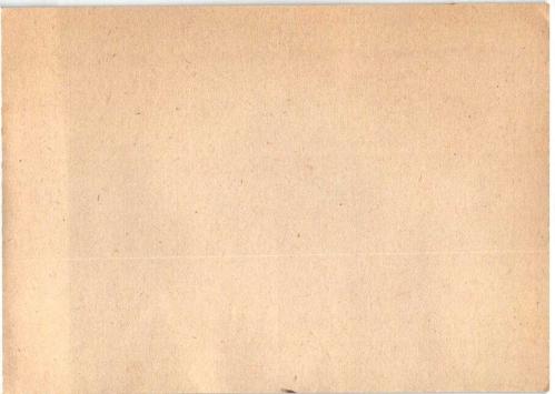 ALMAN İMPARATORLUĞU 1943 AT YARIŞLARI WELNAU DAMGALI ASKERİ POSTA KARTI