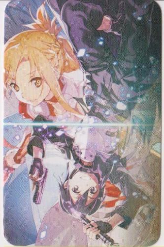 Anime Kartı: Sword Art