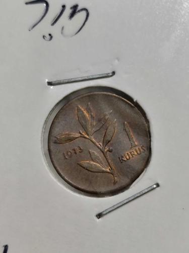 1973 Yılı 1 Kuruş