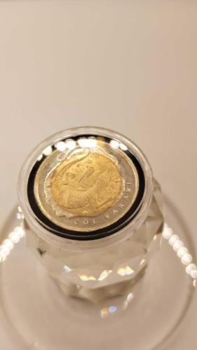 PARA; ANADOLUYA ÖZGÜ HAYVANLAR SERİSİ '' ÇÖL VARANI '' 2009-2016  1 TL HATIRA PARASI 612