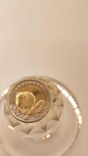 PARA; ANADOLUYA ÖZGÜ HAYVANLAR SERİSİ '' YEDİUYUR '' 2009-2016  1 TL HATIRA PARASI 609