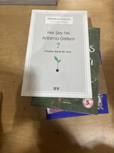 HER ŞEY NE ANLAMA GELİYOR ? - FELSEFEYE KÜÇÜK BİR GİRİŞ