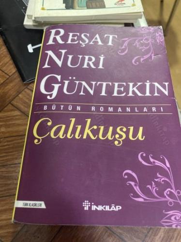 ÇALIKUŞU ---- ( bütün romanları )