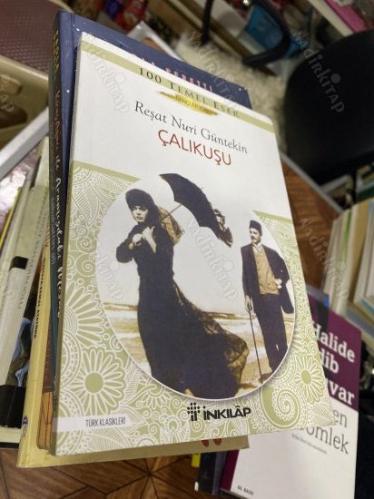 Çalıkuşu -Gençler İçin Türk Klasikleri