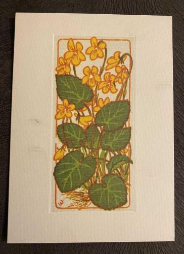 UNİCEF Sarı Orman Menekşesi (Yellow Wood Violet) Çiçek Resimli Eski Tebrik Kartı