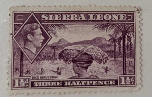 İngiliz Sömürgesi Sierra Leone_ damgalı pul