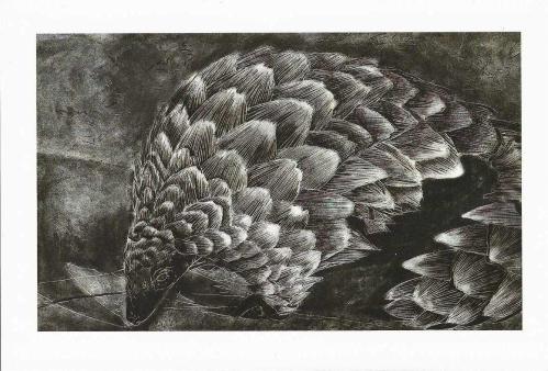 LOT.16 » Yolmayın Pullarımı / Don't Pluck My Scales  Raziye Kubat 29 Nisan 13 Haziran 2021 Gece Uçuşu / Night Flight Sergisi Kartı