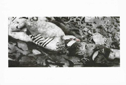 LOT.14 » Keklik Düz Ovada Avlanmaz / Partridge İs No Easy Prey Raziye Kubat 29 Nisan 13 Haziran 2021 Gece Uçuşu / Night Flight Sergisi Kartı