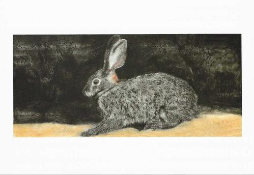 LOT.8 » Korkulu Bakışım Kameranın Flaşına / Like A Rabbit İn The Heatlights   Raziye Kubat 29 Nisan 13 Haziran 2021 Gece Uçuşu / Night Flight Sergisi Kartı