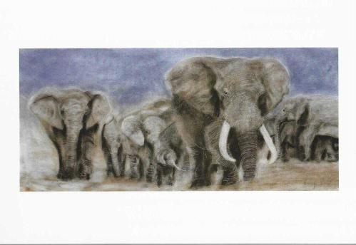 LOT.5 » Fil Gördüm Filler Ordusuymuş / I Saw An Elephant İt Was İn Fact An Army  Of Elephants Raziye Kubat Gece Uçuşu / Night Flight Sergisi Kartı