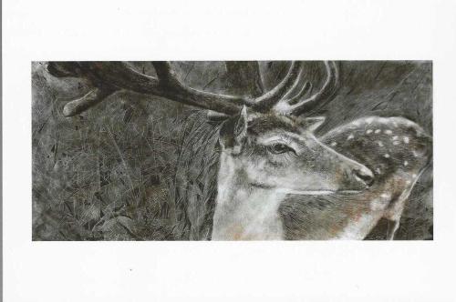 LOT.1 » Ben Bir Ceylanım Sen de Avcı / I'm a Deer And You Are The Hunter Raziye Kubat 29 Nisan 13 Haziran 2021 Gece Uçuşu / Night Flight Sergisi Kartı