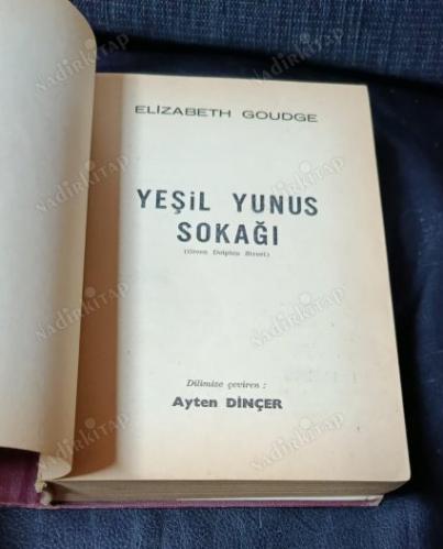 yeşil yunus sokağı (green dolphin street)
