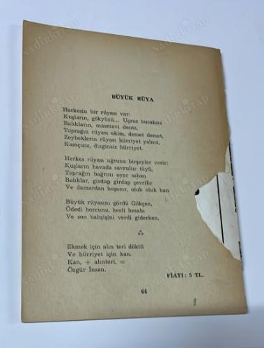 dağdaki ışık