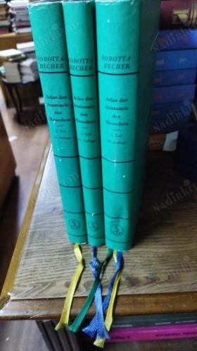 atlas der anatomie des menschen