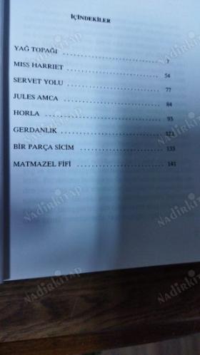 seçme öyküler-dünya sanatçılarından seçme öyküler