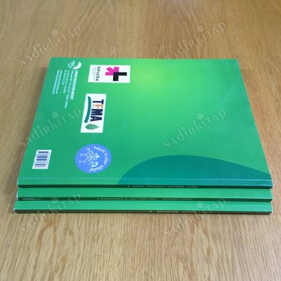 jolly englısh 6+practıce tests6+ vocabulary &grammar 6
