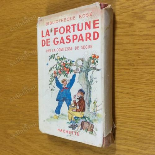 la fortune de gaspard (bıblıotheque rose)