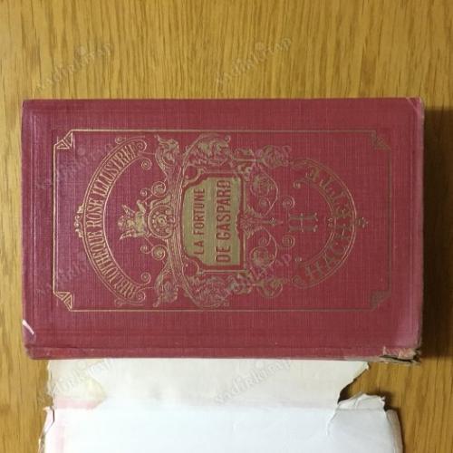 la fortune de gaspard (bıblıotheque rose)