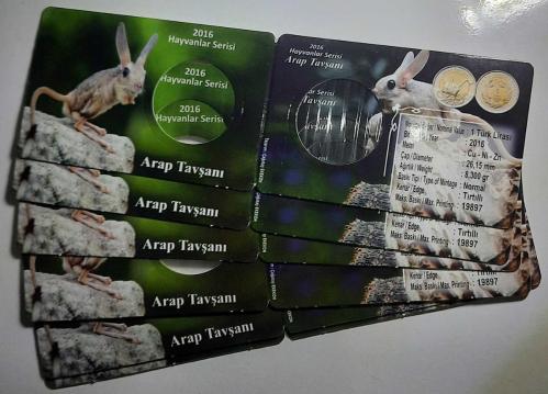 Hayvanlar Serisi Arap Tavşanı Hatıra Kapama ((Folder)) 1 Adet