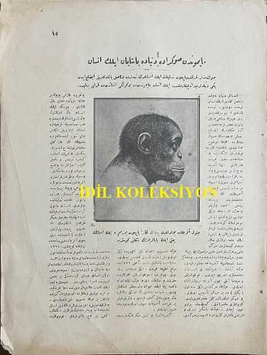 Osmanlıca Resimli Ay Dergisi, Orijinal Dönem Basım, (Ottoman Magazine) - 1 Mart 1924 - Sayı: 12 - 'Kafamızdaki Düşüncemizi Nasıl Buluyorlar?' - 'Maymundan Sonra da Dünyada Yaşayan İlk İnsan' Son Seneler Zarfında Yapılan Tetkikat İlk İnsanların Nerelerde ve Nasıl Yaşadıklarını İzah Eden Yeni Vesikalar Meydana Çıkarmıştır. İlk İnsan Maymundan da Bugünkü İnsandan da Farklı Bir Şeydir' - (Resim) Cenubi Afrika'da Buldukları Bir Başa Nazaran Yapılan Bu Resim, İlk İnsanın Yani İlk Babalarımızın Şeklini Gösterir - (Fotoğraf) Cenubi Afrika'da Bulunan ve İlk İnsana Ait Olduğu İddia Edilen Baş İskeletinin Fotoğrafisi - 'Delik Budalası' Muharriri: Hakkı Süha - Türkiye'ye Bedii Dansları İlk Defa Getiren Türk Kadını: Bedii Dansı Şimdiye Kadar Memleketimiz Tanımamıştı. Onu İlk Defa Türkiye'ye Getirmeye Teşebbüs Eden Selma Hanım Oldu. Raksın Hareketle Heyecanlarımızı İfade Eden Bir Vasıta Olduğunu İlk Defa O Anladı (Fotoğraf) Abdülhak Hamit Bey'in Hafidesi Adile Hanım Bedii Danslarından Birinde