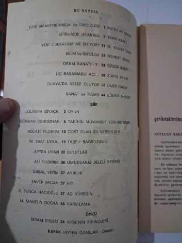 Yeni OLGU Dergisi, Haziran 1982 Sayı:15 ( Geribıraktırılmışlık ve İdeolojisi / Şiirimizde İstanbul )