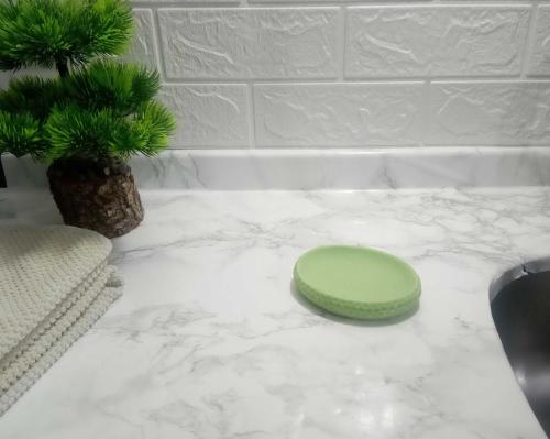 SABUNLUK YEŞİL PETEK DESENLİ POLİRESİN 10X8X2CM BANYO SETİ